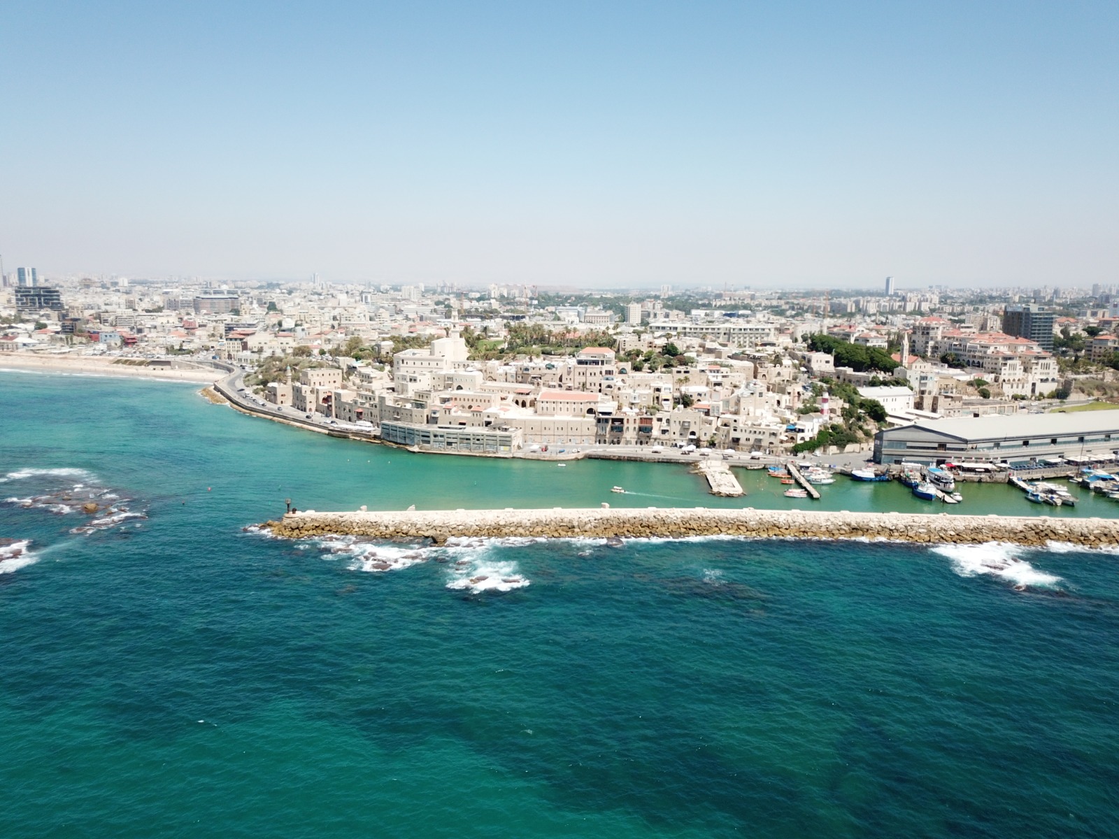 WhatsApp Image 2020-09-02 at 3.43.45 PM.jpeg.jpeg